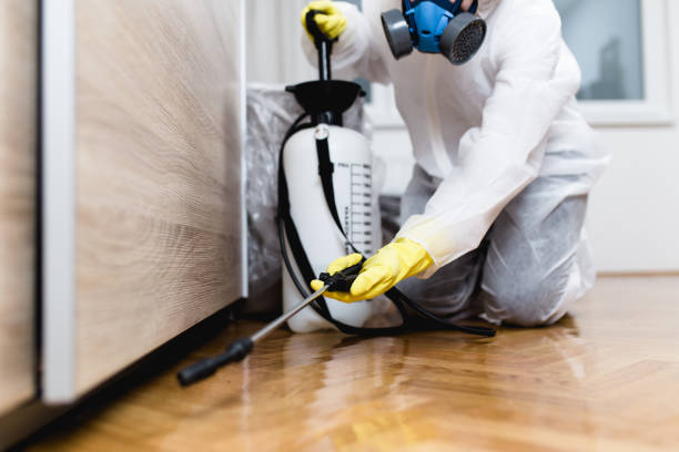 Wasp Removal Services in Palmyra, PA