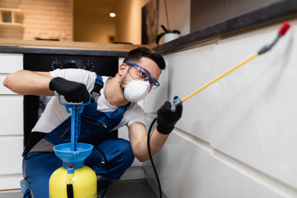 Best Cockroach Control Services  in Lmyra, PA