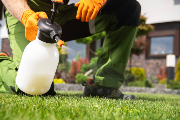 Best Pest Removal Services  in Lmyra, PA