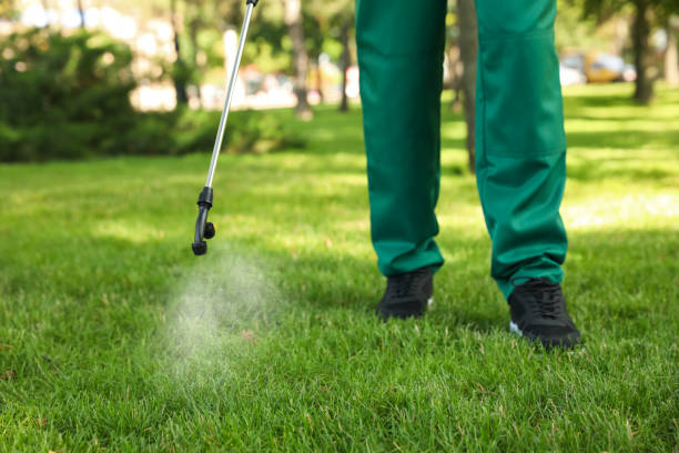 Best Flea Control Services  in Lmyra, PA