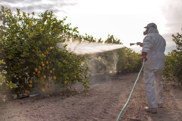 Best Emergency Pest Control  in Lmyra, PA