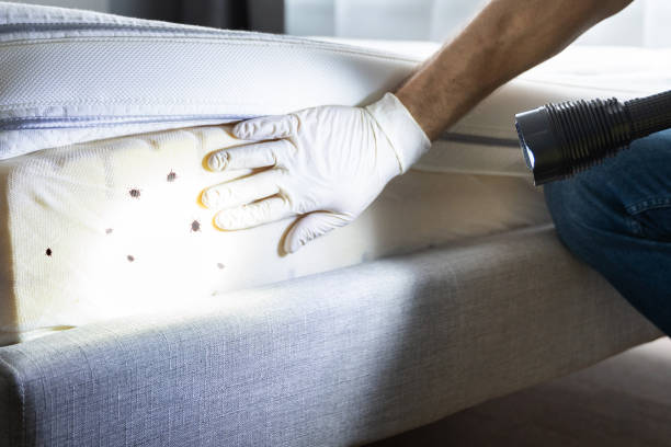 Best Best Pest Control Companies  in Lmyra, PA