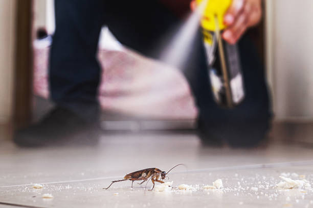 Pest Control for Restaurants in Palmyra, PA