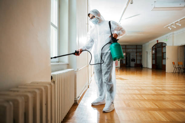 Best Wasp Removal Services  in Lmyra, PA