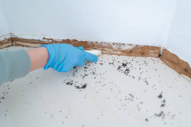 Best Pest Control for Restaurants  in Lmyra, PA