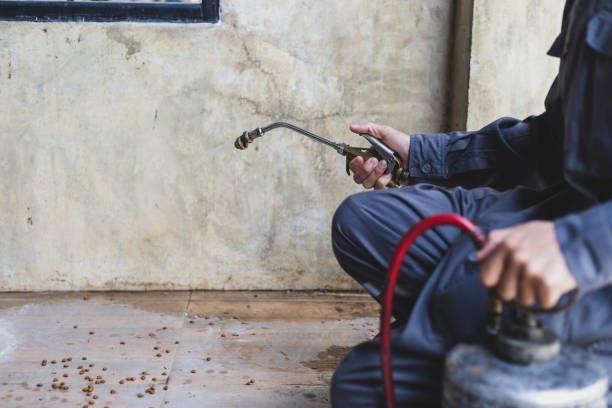 Best Mosquito Control Services  in Lmyra, PA