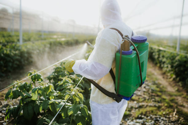 Best Pest Prevention Services  in Lmyra, PA